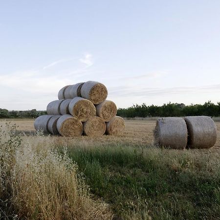 Agrimat Salento Sas Villa Alezio Exterior foto
