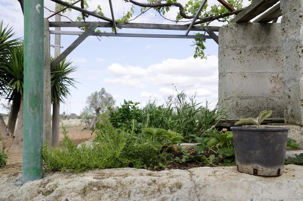 Agrimat Salento Sas Villa Alezio Exterior foto